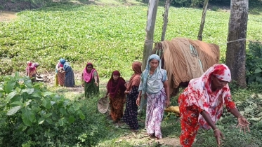 সুপারভাইজারের চাকরি বাঁচাতে বিএনপি নেতা মরিয়া